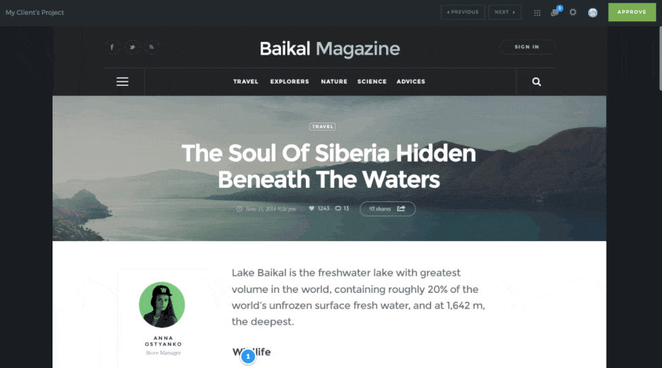 Projecthuddle Comment Nav