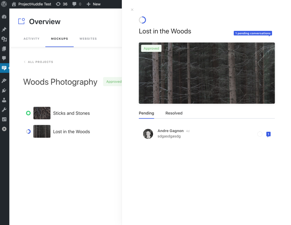 SureFeedback 3.2.0 Beta - Preview Project Comments 1024x792
