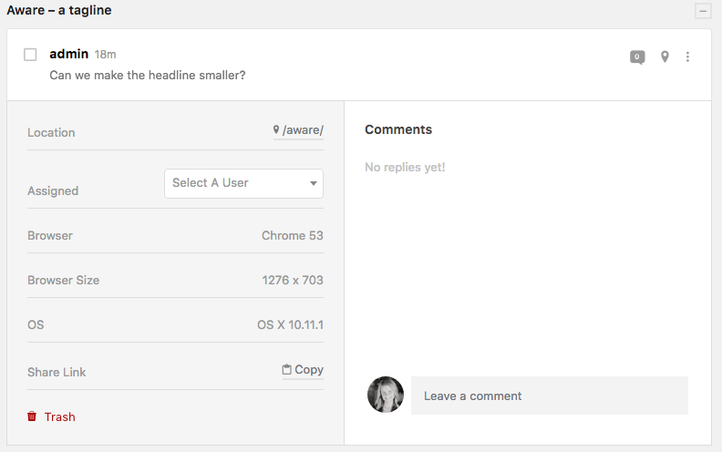 Viewing and Commenting on a Live Website File MrRq6BEk4Y