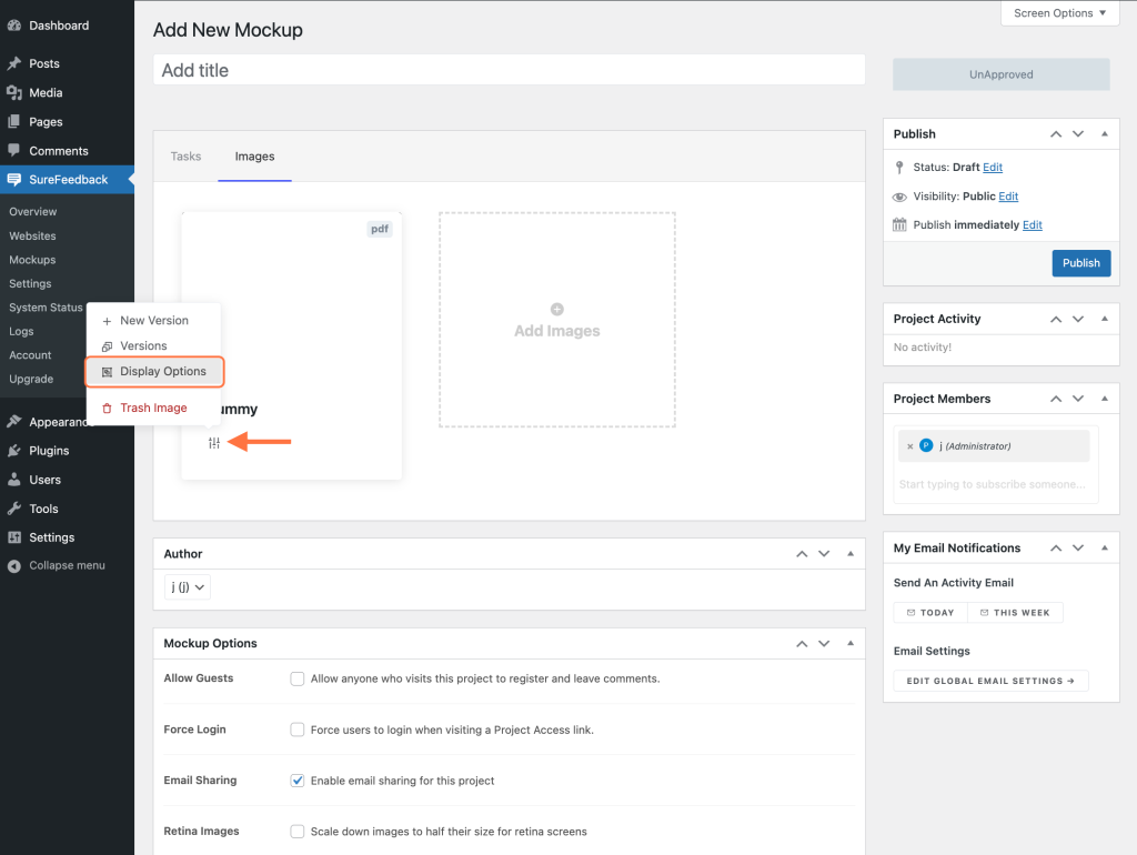 PDF Mockups Setup Display Options